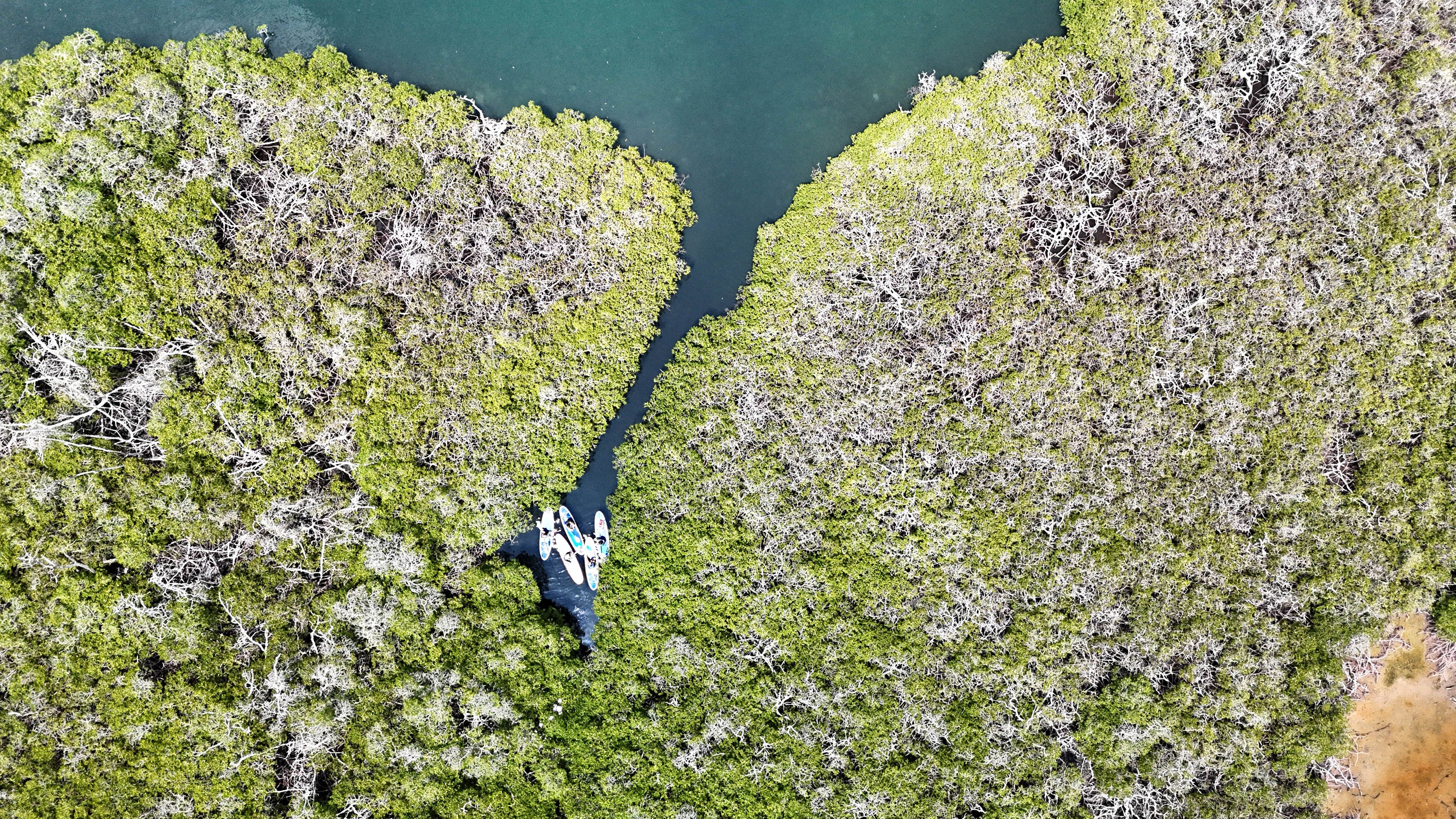 SUP Adventure Landing Page